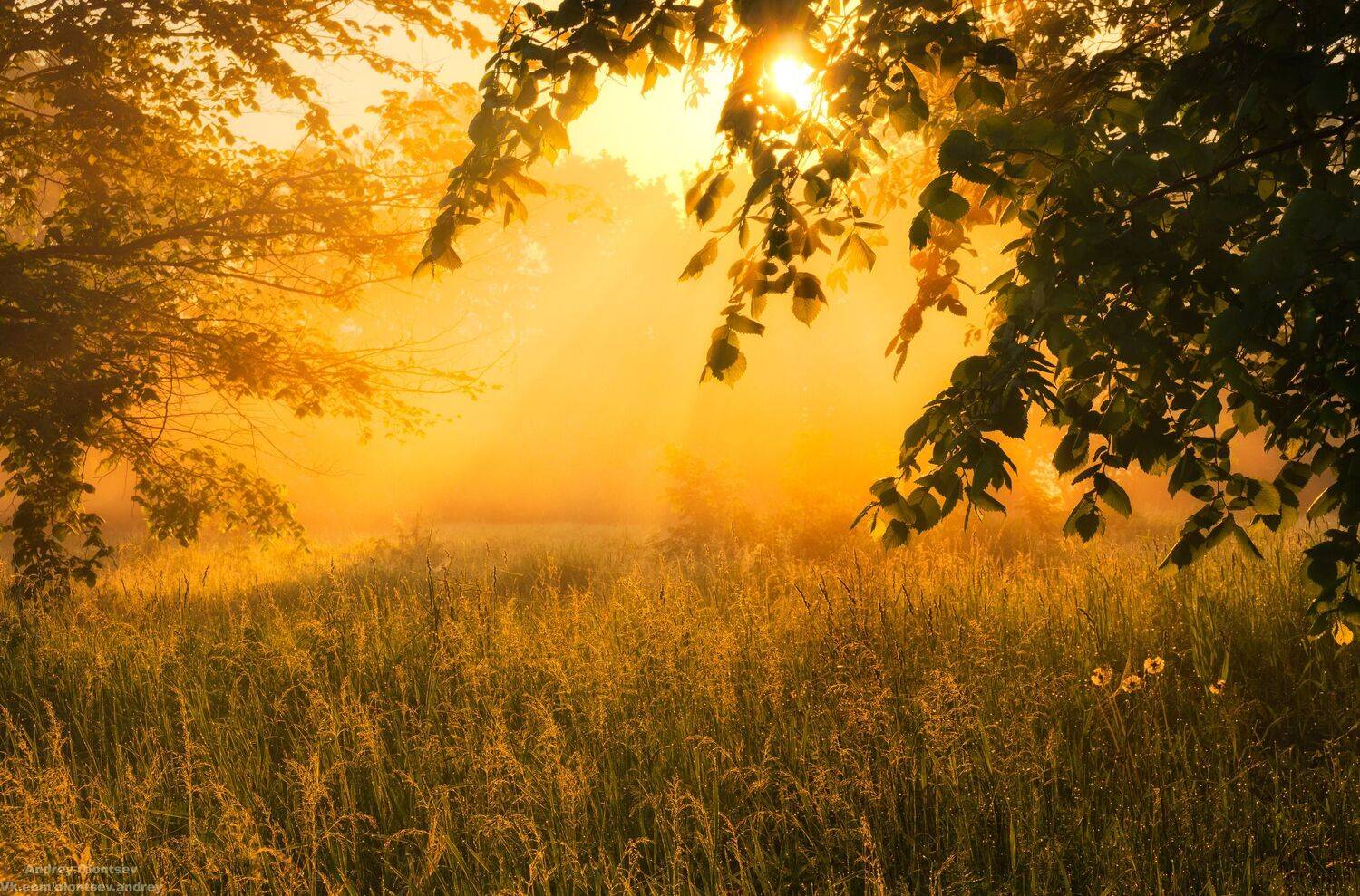 солнце, россия, рассвет, природа, подмосковье, погода, пейзажи, пейзаж, отражение, наукоград, красота, дубна, вода, весна, weather, water, spring, russia, reflection, naukograd, nature, moscow, landscape, dawn, canon, dubna, beauty, Андрей Олонцев