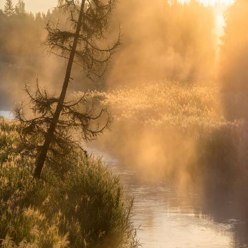 Проснулся новый день