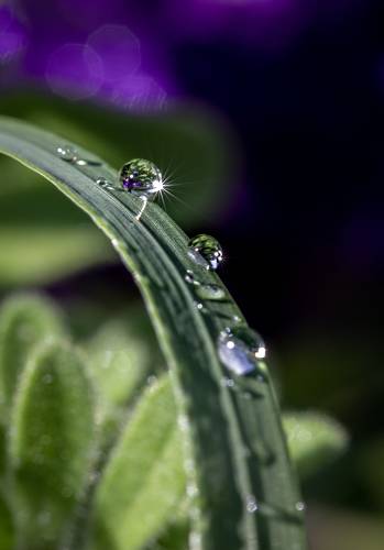 Droplets