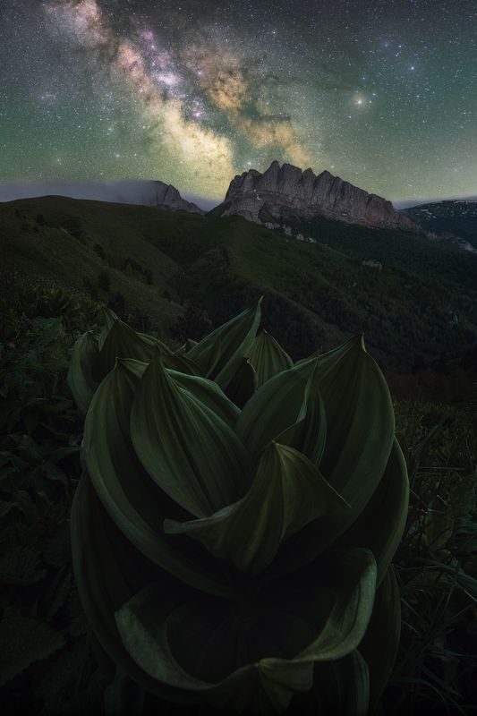 звезды, большой тхач, кавказ, адыгея, весна, чемерица, астро, ночь, milky way, млечный путь, ачешбоки, чертовы ворота Раскрывшись звездному свету фото превью