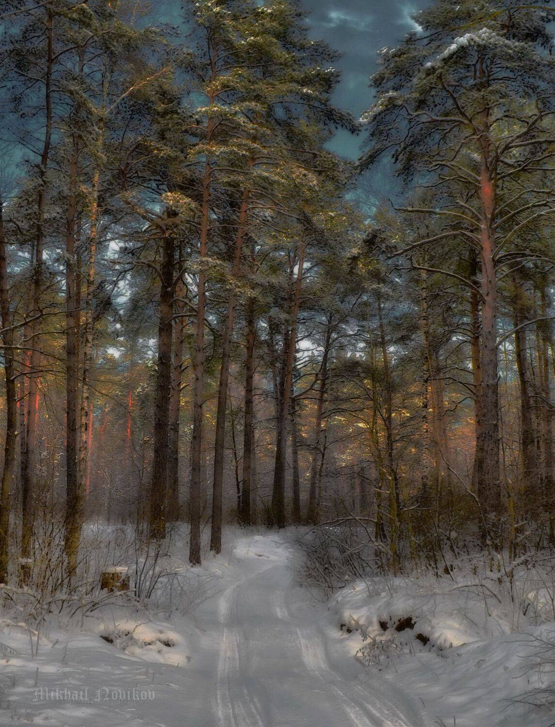 , Михаил Новиков