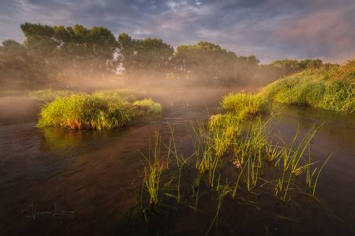 Доброе утро...