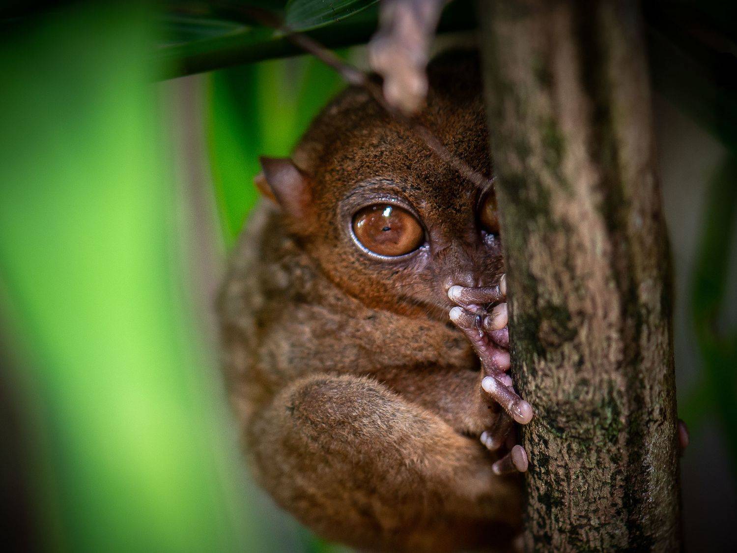 , Юрий Журавлев