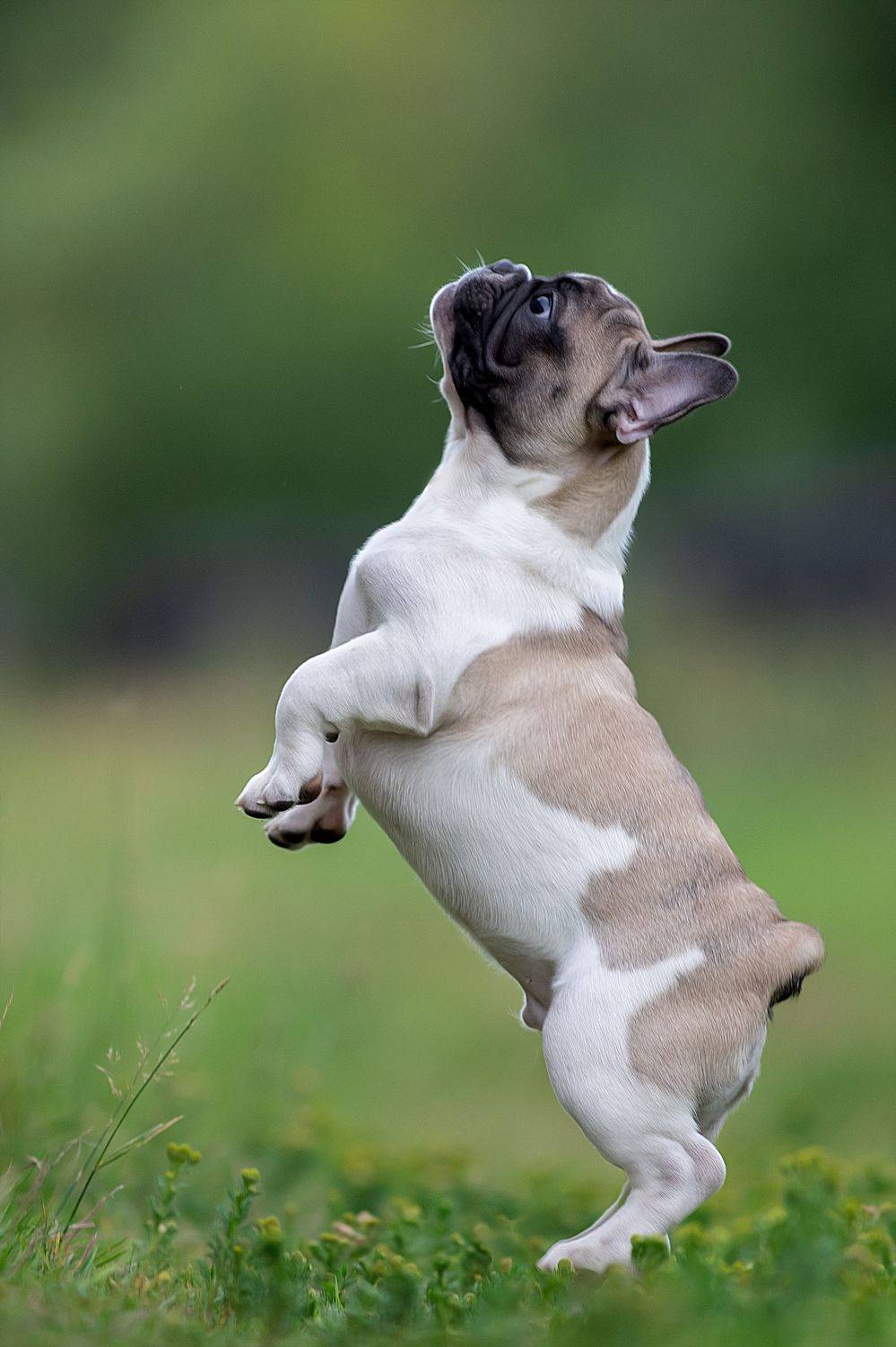 , Светлана Писарева