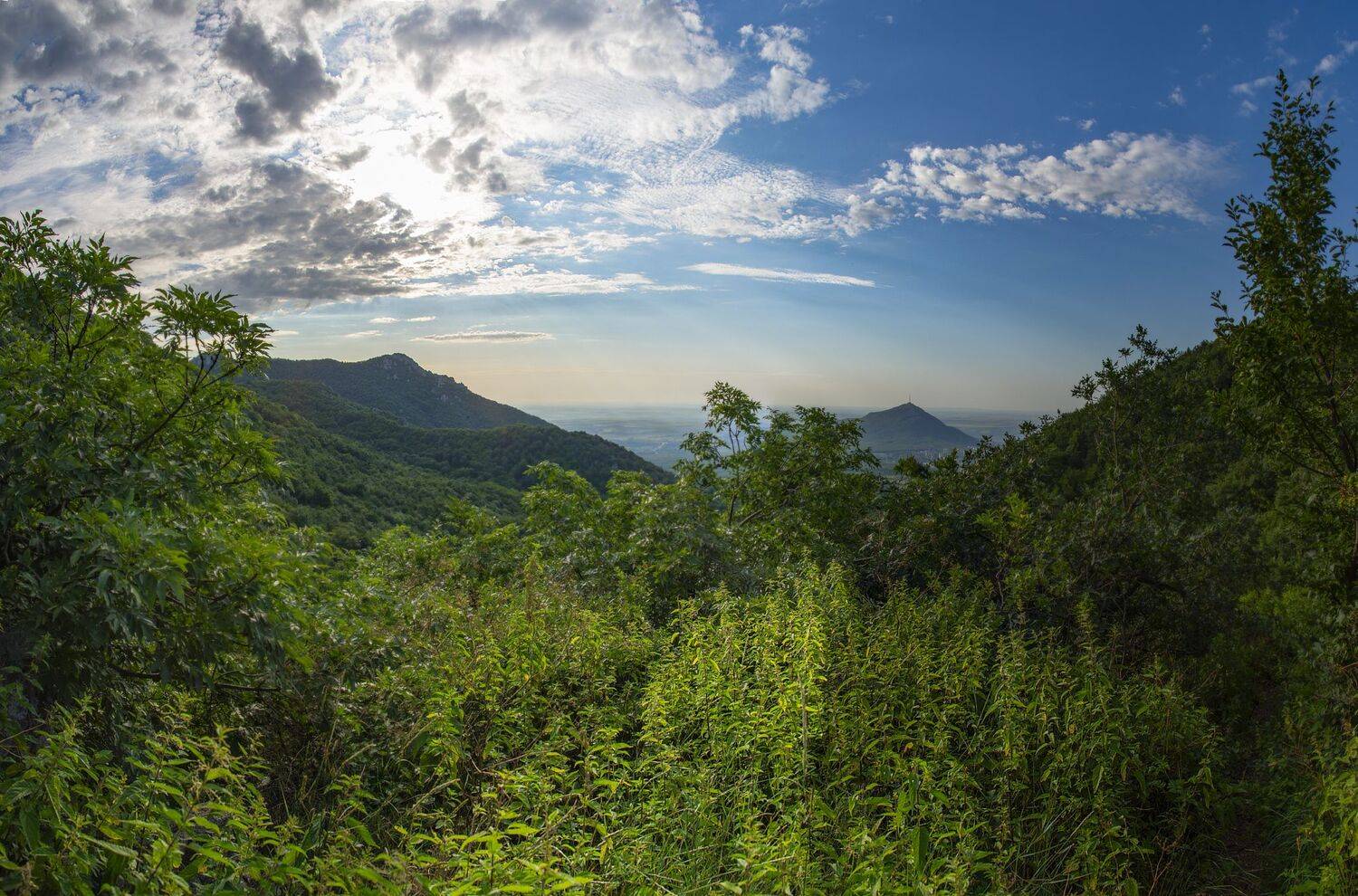 август,жара,крапива,кмв,пейзаж, Елена Брежицкая