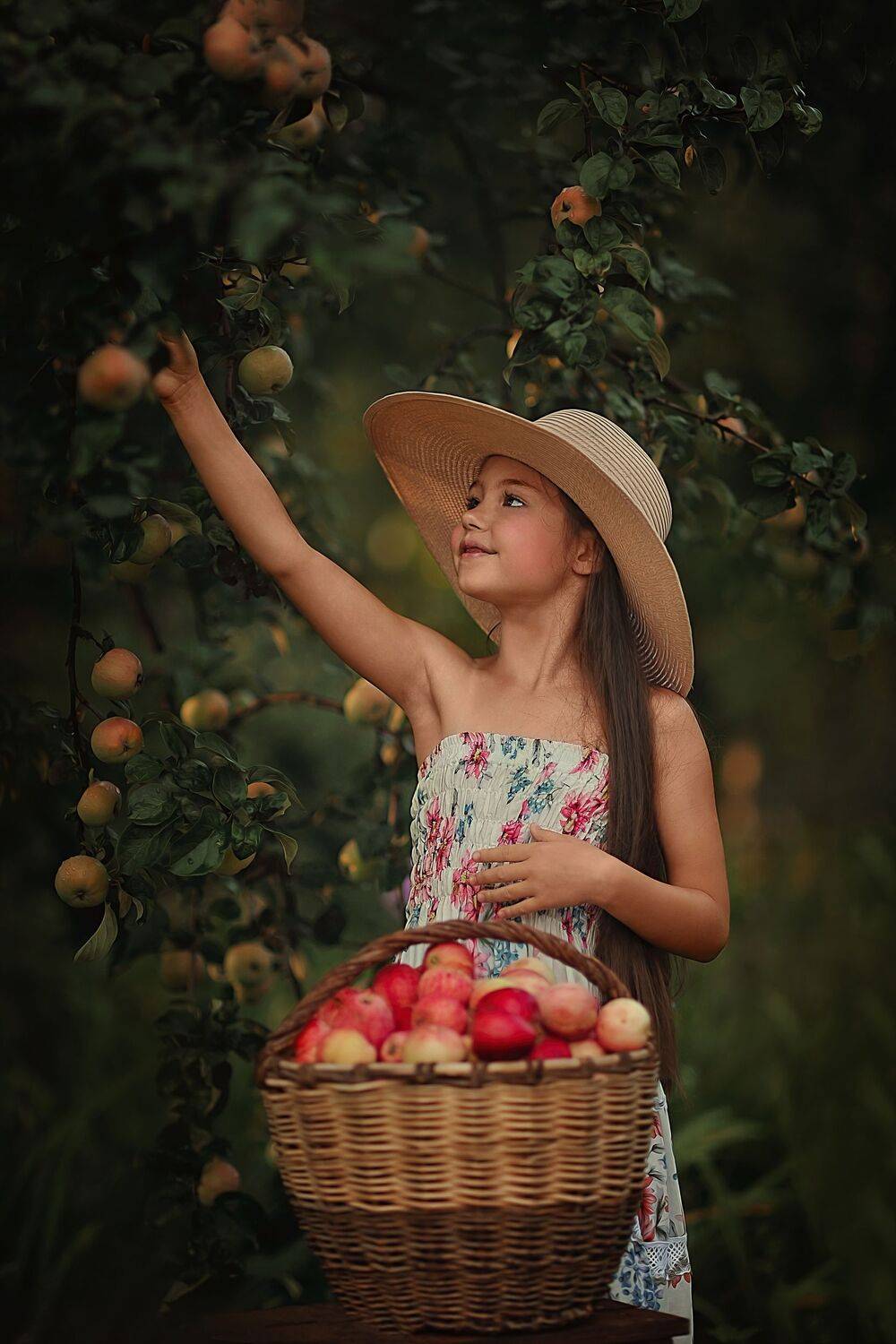 , Ксения Лысенкова