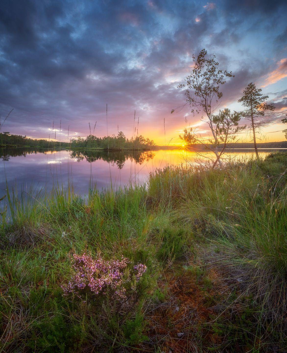 озеро, ленобласть, закат, Алексей Марголин