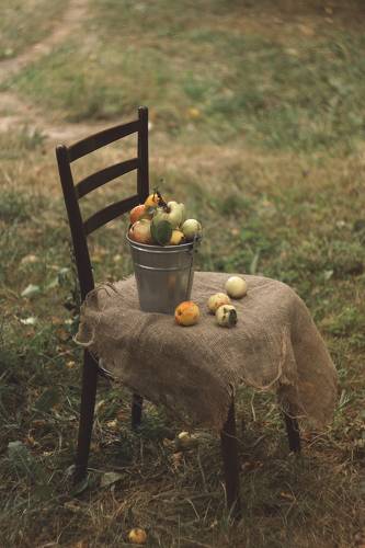 августовские яблоки