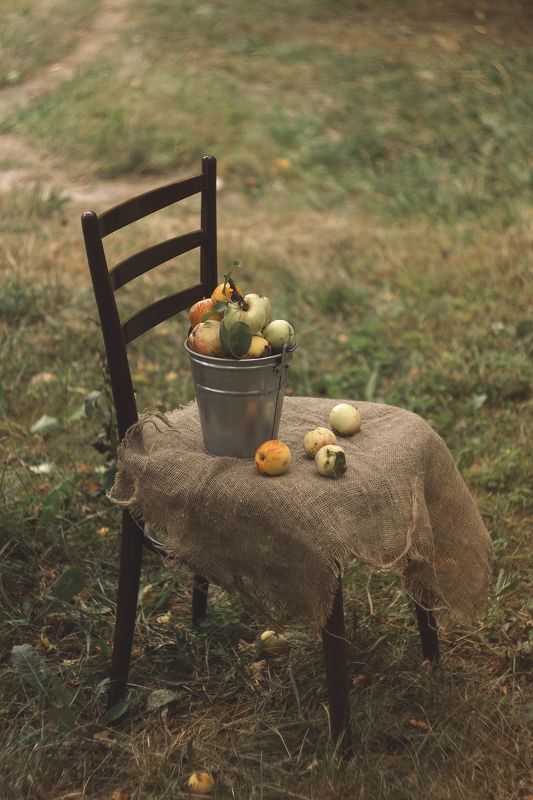 августовские яблоки фото превью