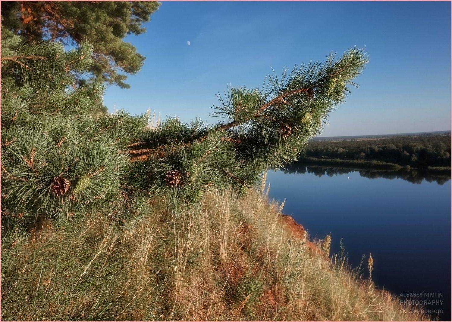 , Алексей Никитин