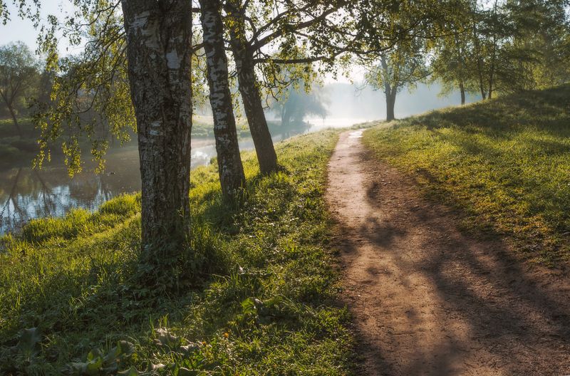 питер, пейзаж, мариентальскийпарк, мариенталь,  павловск, рассвет, бип, царскоесело, царское, landscape, tsarskoyeselo, городской пейзаж, санкт-петербург Летним утром. . . фото превью