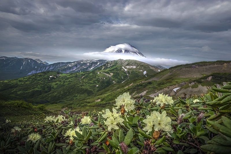 Вилючинский вулкан. Камчатка фото превью