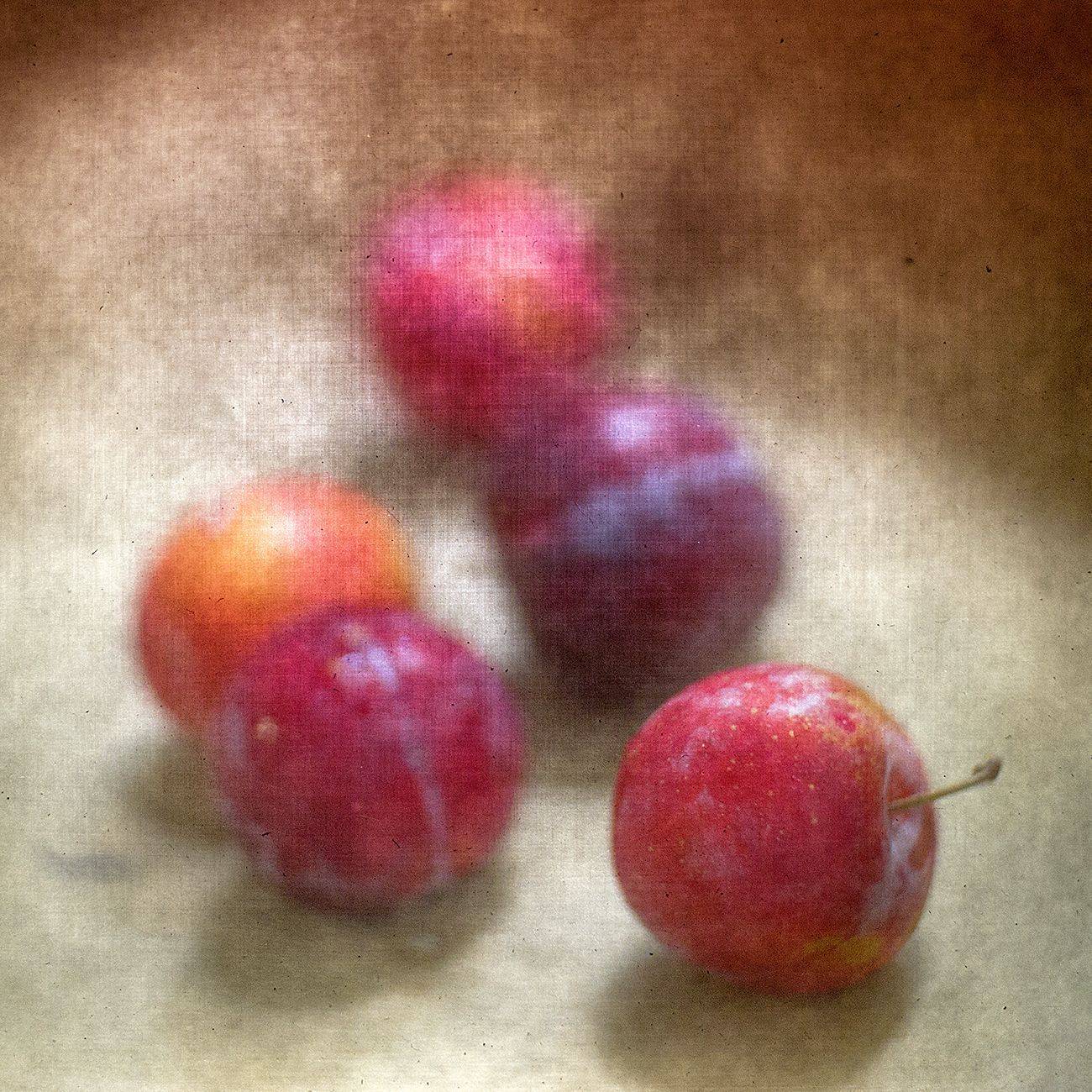 , Татьяна Аверина