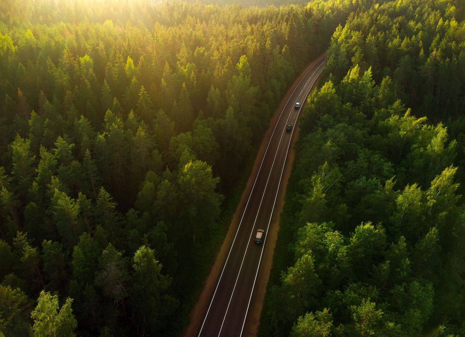 , Рут Андрей