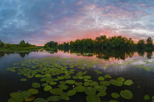 Живопись Природы
