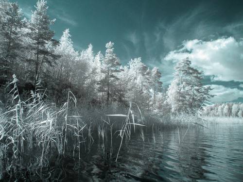 Инфракрасная Ладога