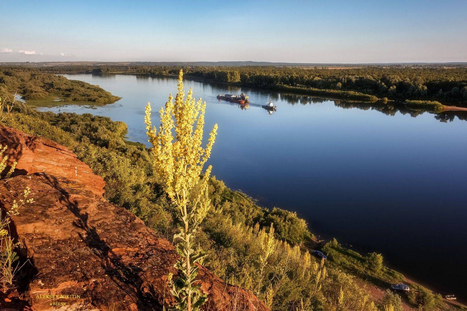 , Алексей Никитин