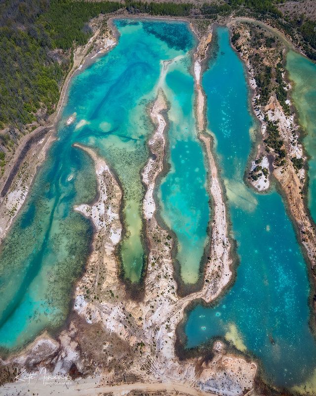 Тризуб фото превью