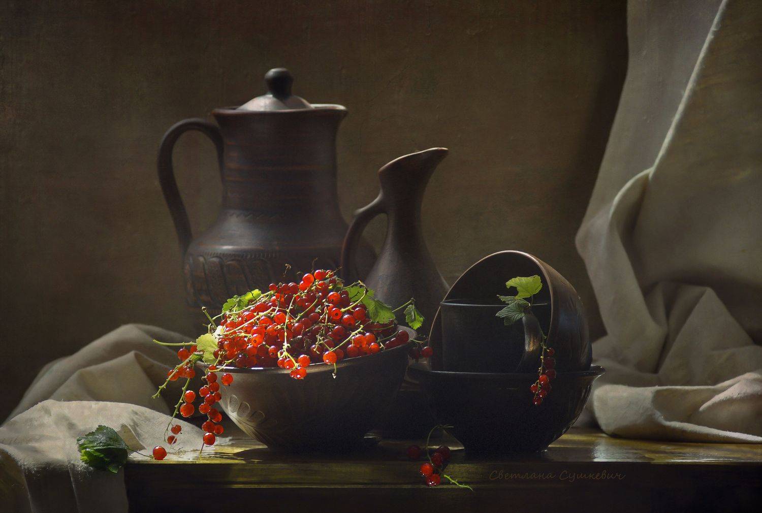 , Светлана Сушкевич