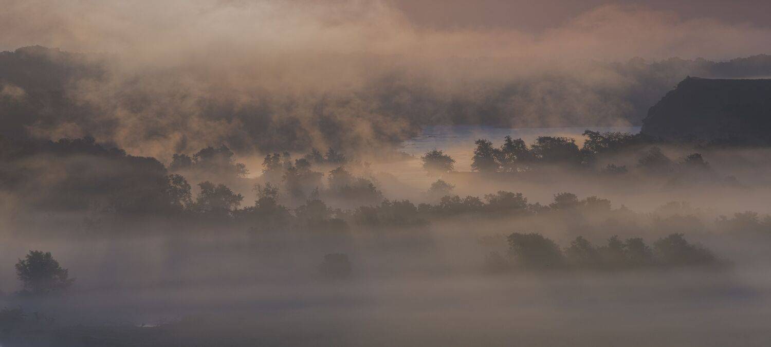 , ДМИТРИЙ ПУЗЕНКО