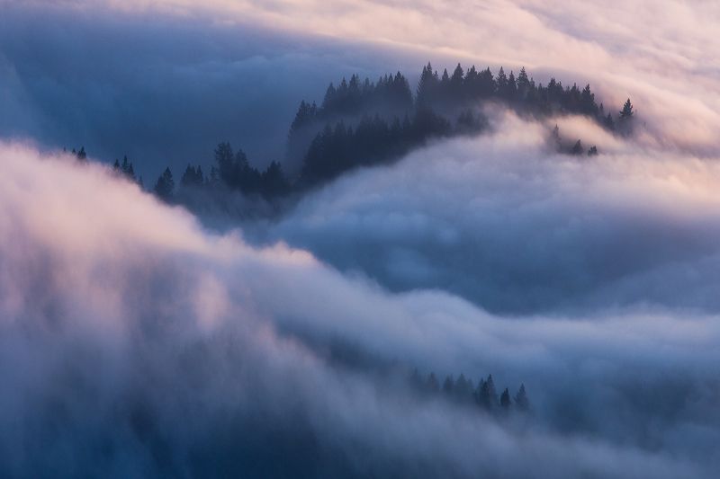san francisco, karl the fog, sunrise, sunset Karl The Fog 2/5 фото превью