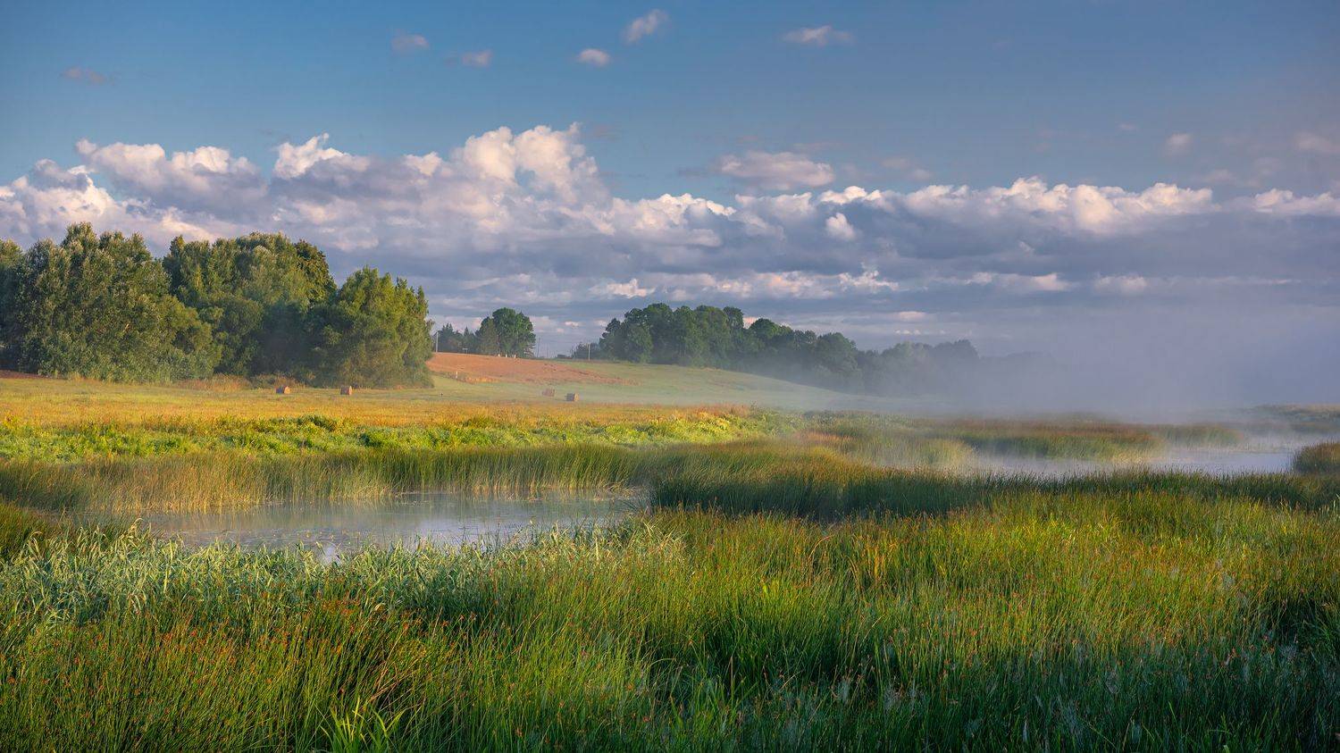 , Руслан Авдевич