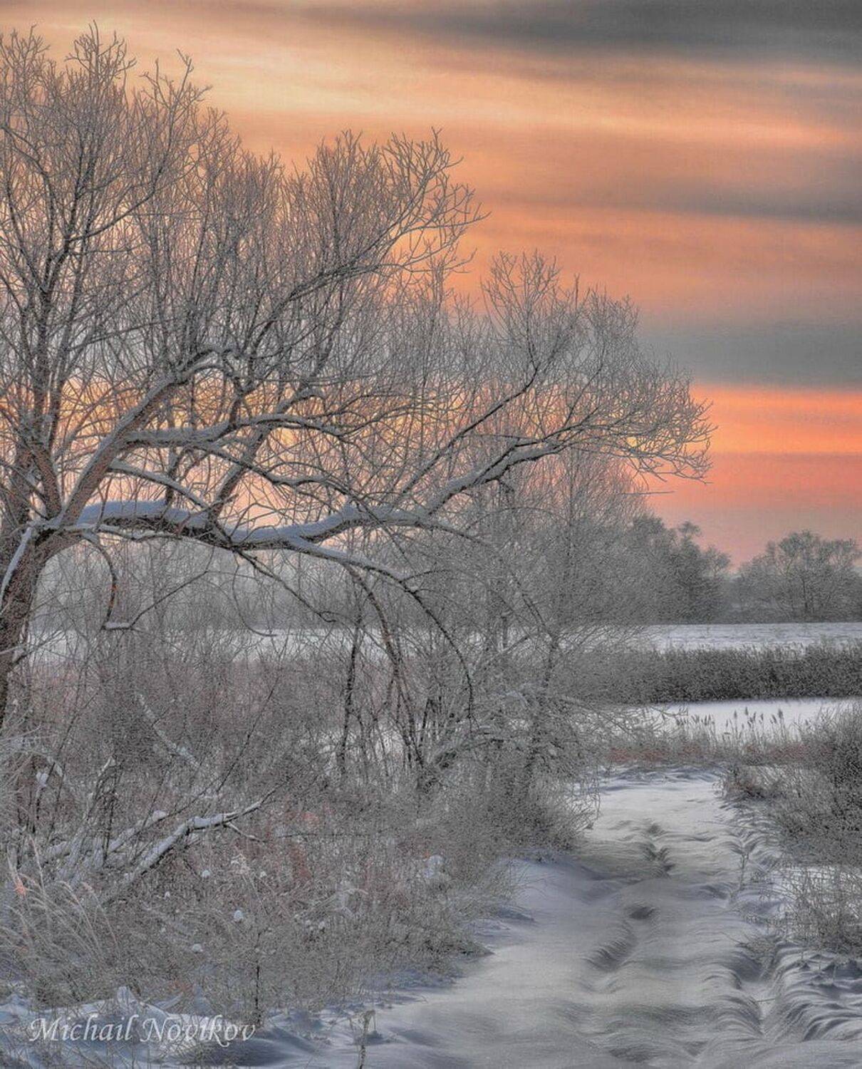 , Михаил Новиков