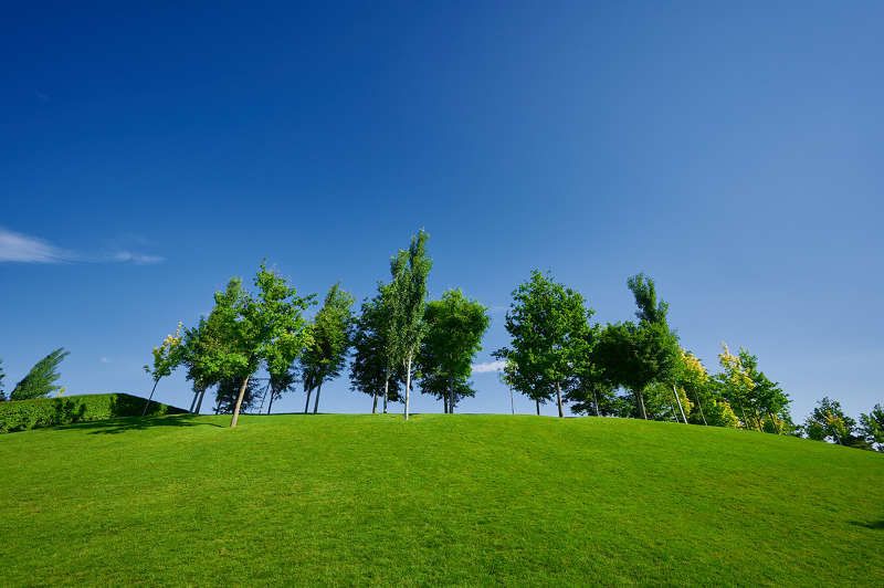 ***** фото превью