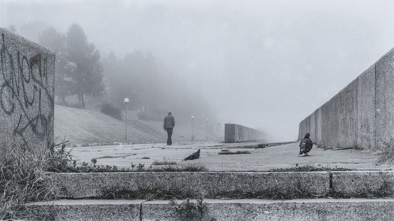 утро туман набережная Неслышным шагом уходя в туман... фото превью