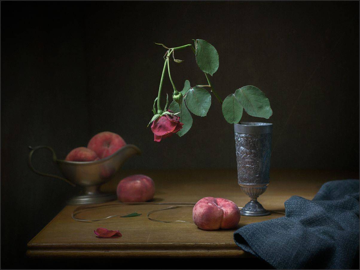 , Stein Georg