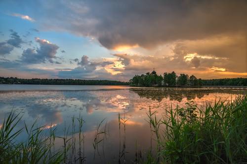 перед грозой