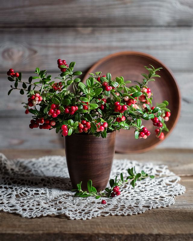 натюрморт брусника ягоды фотонатюрморт букет Брусничка фото превью