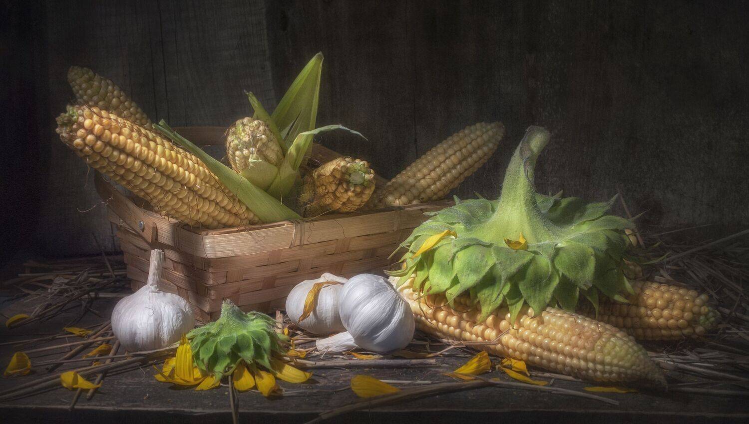 кукуруза,жёлтый,тёмный,деревенский,пыль,корзина,чеснок,подсолнух,август, Владимир Володин