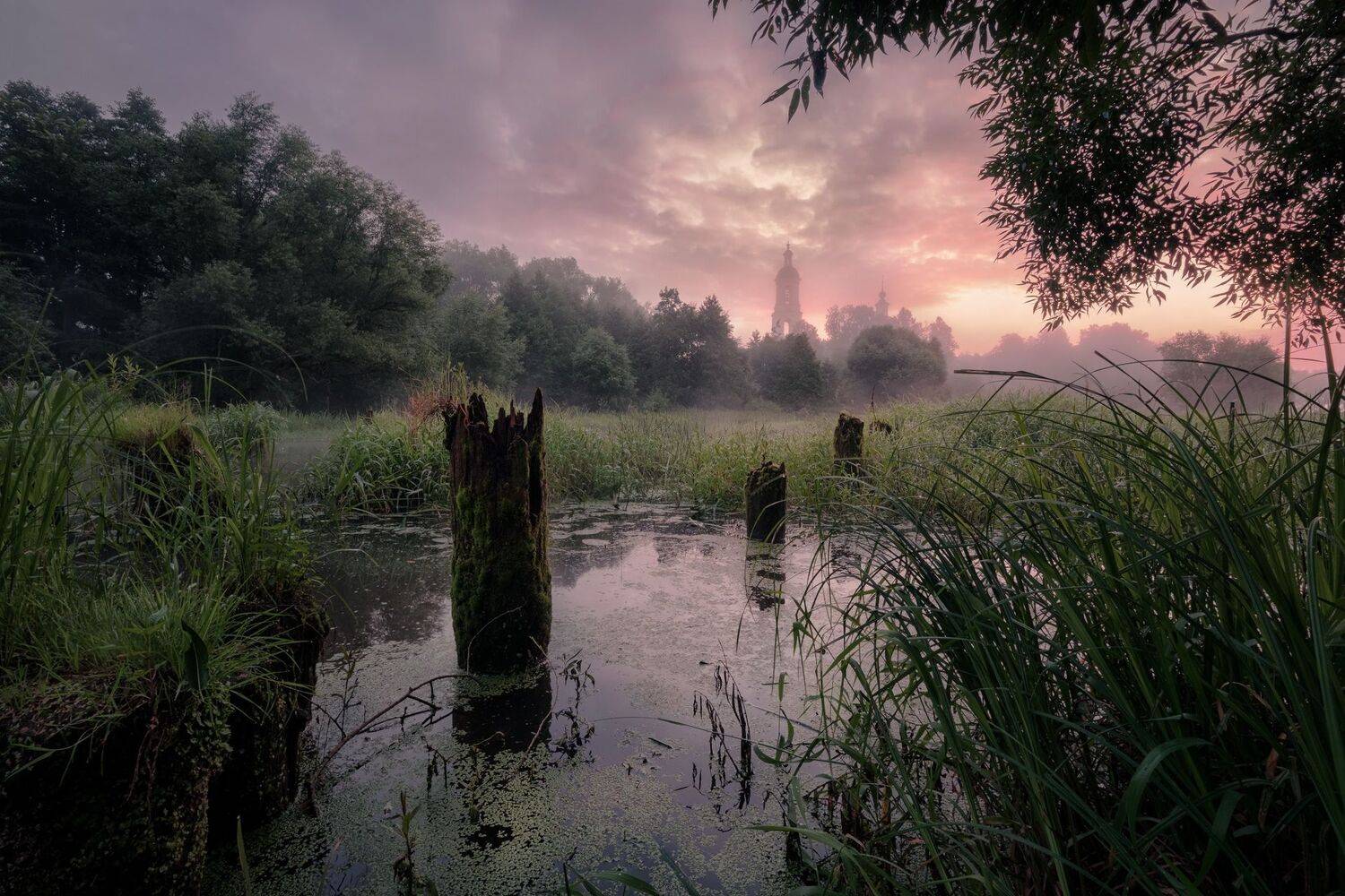 река, шерна, филипповское, село, утро, рассвет, туман, природа, пейзаж, Андрей Чиж