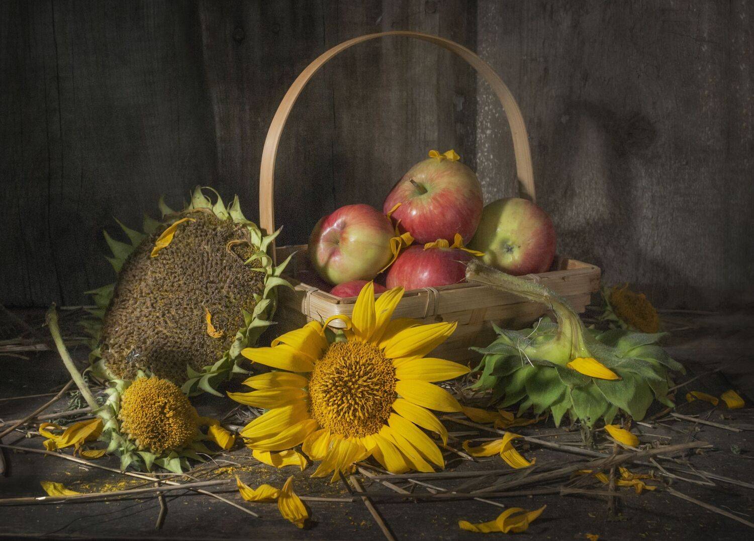август,яблоки,корзина,старый,деревенский,подсолнух,фрукты,жёлтый, Владимир Володин