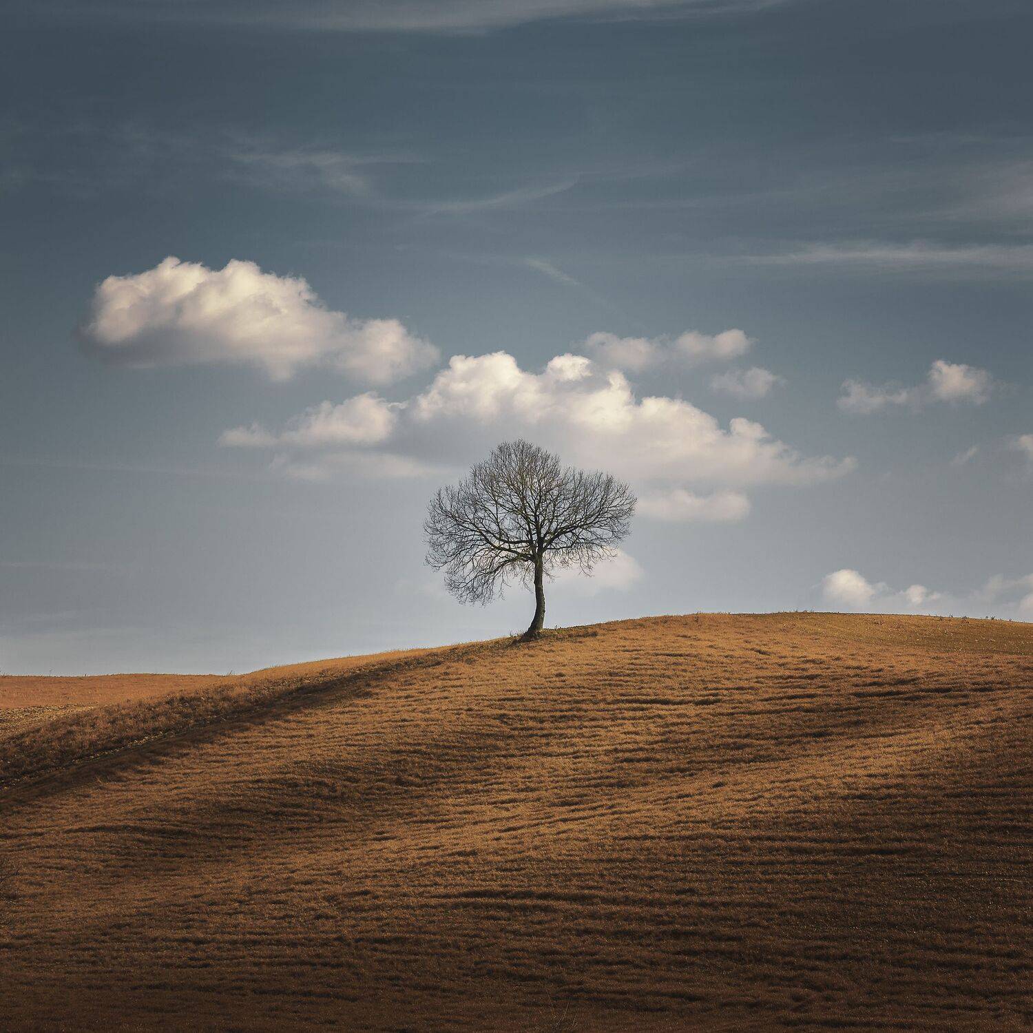 , Thomas de Franzoni