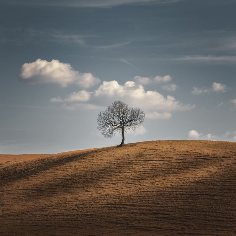 Better Alone фото превью