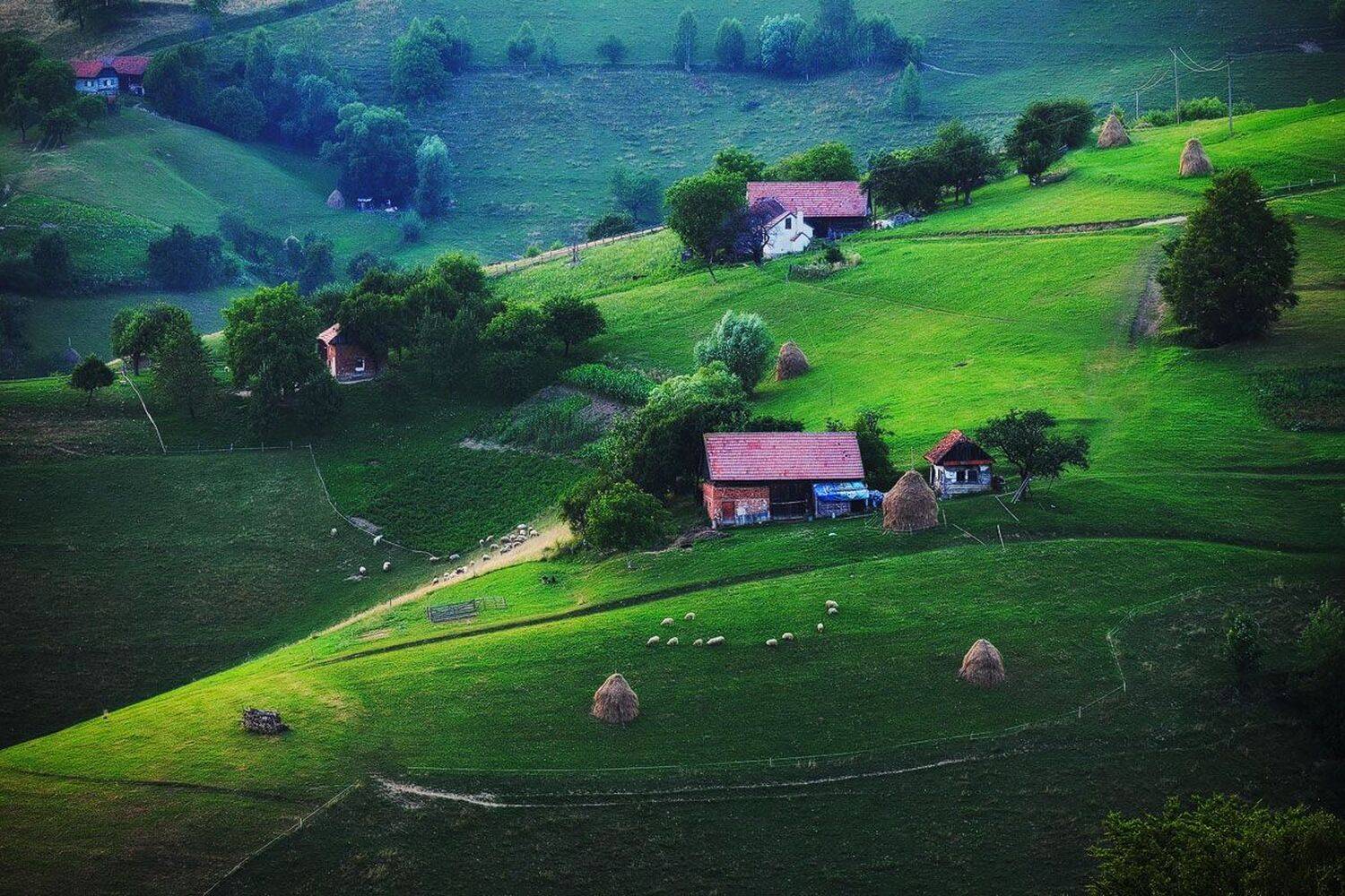 , Stefan Chirobocea