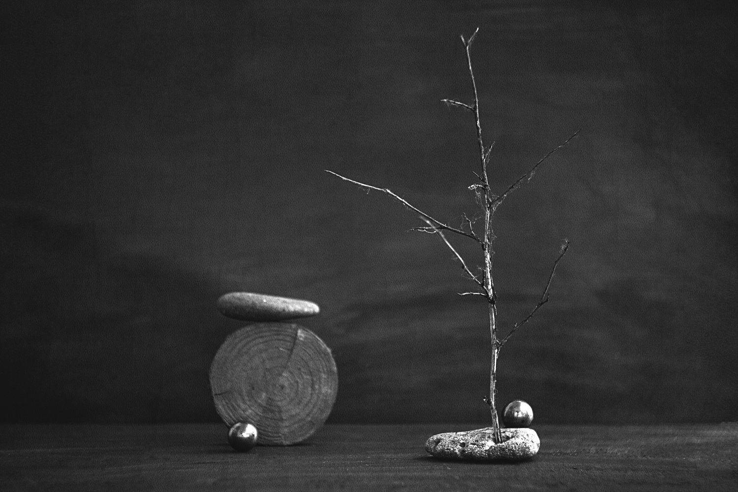 натюрморт, минимализм, черно-белый натюрморт, фантастика, философия, Ольга Алексейчик