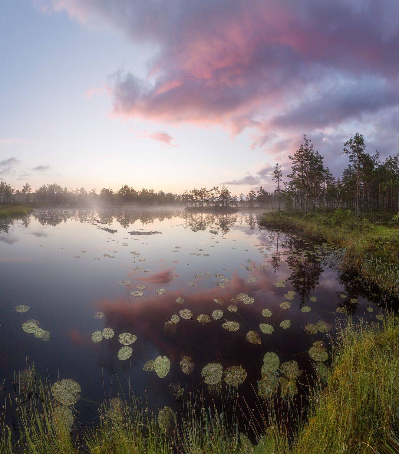 болото, кайф, рассвет ,север ,солнце, свет, закат, облака, отражение, фототур, Павел Ващенков