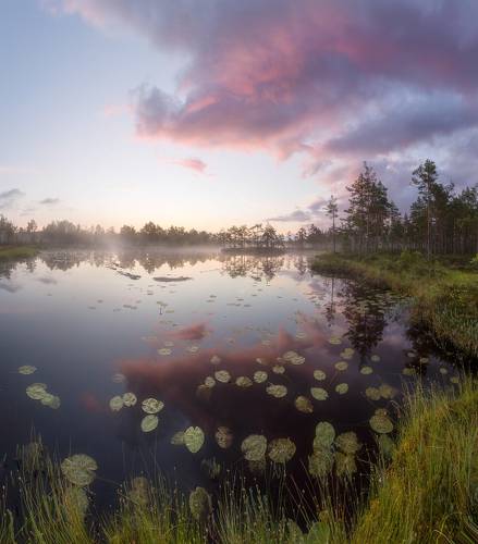 Утро на озере