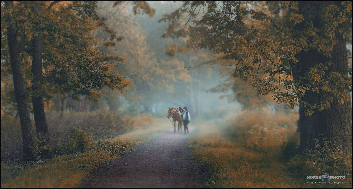 , Виктор Перякин