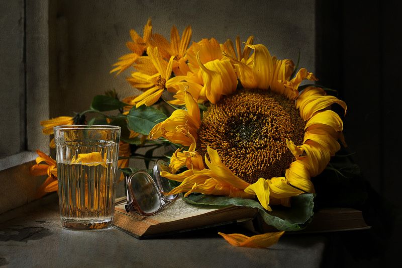 Подсолнух фото превью