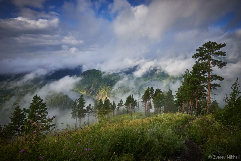 Туманное утро на Манской петле фото превью
