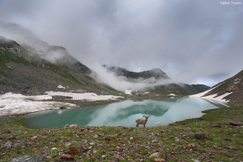 кавказ, кчр,  зелёные озёра Турье озеро фото превью