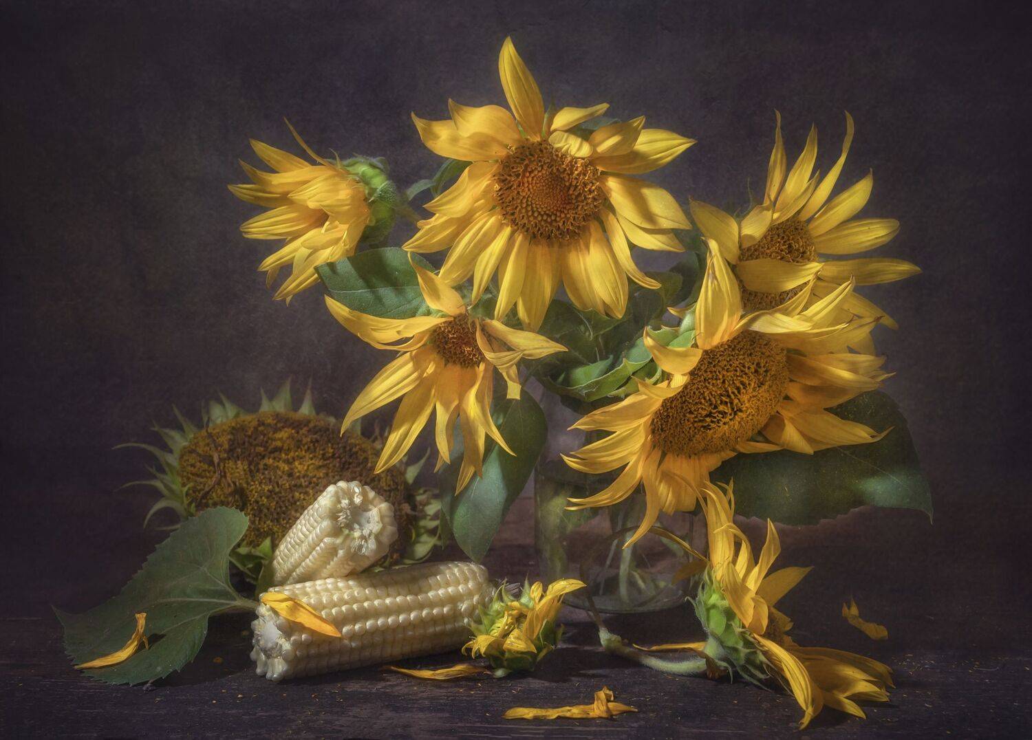 подсолнух,банка,быт,цветы,деревня,кукуруза, Владимир Володин