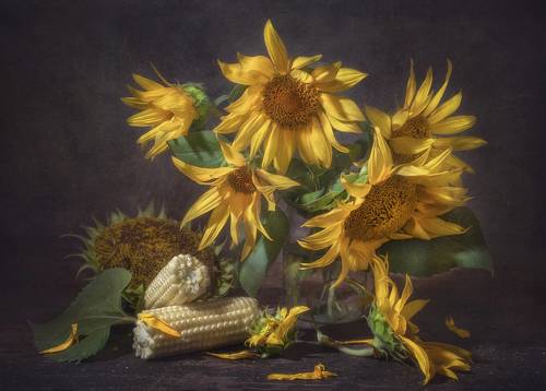 Разлохматились