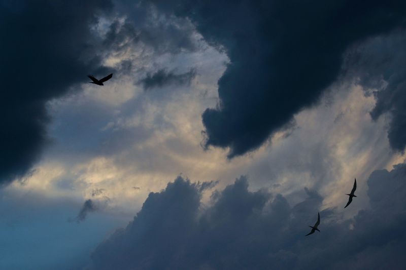 Вечерний эскорт фото превью