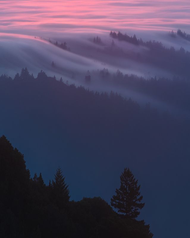 Karl The Fog 5/5 фото превью