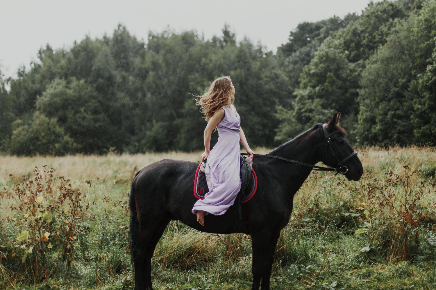 , Marie Dashkova